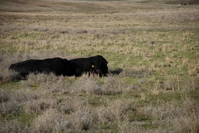 DSC_0050 (Large).JPG